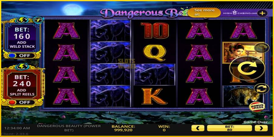 Картинка 2 ігрового апарату Dangerous Beauty Power Bet