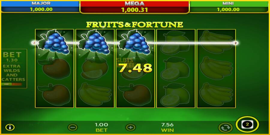 Картинка 5 ігрового апарату Fruits & Fortune