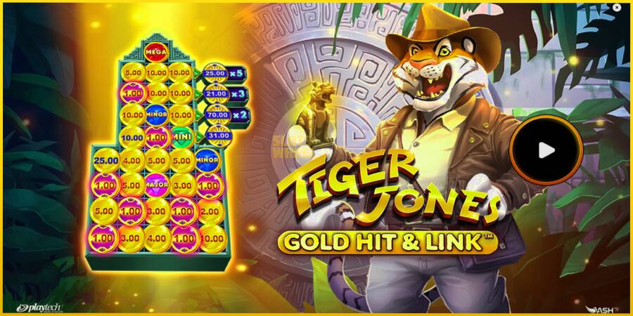 Картинка 1 ігрового апарату Gold Hit & Link: Tiger Jones