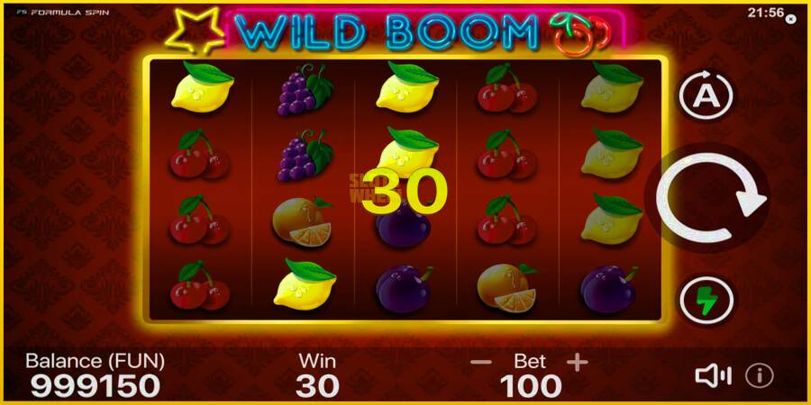 Картинка 4 ігрового апарату Wild Boom