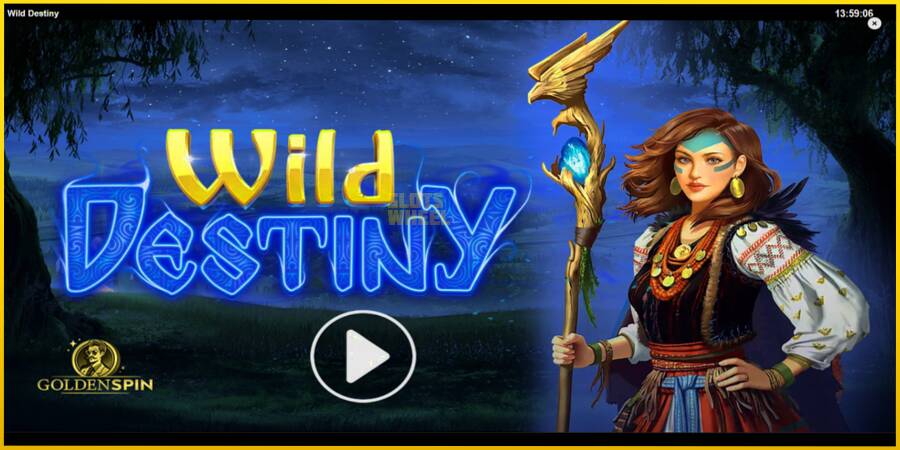 Картинка 1 ігрового апарату Wild Destiny