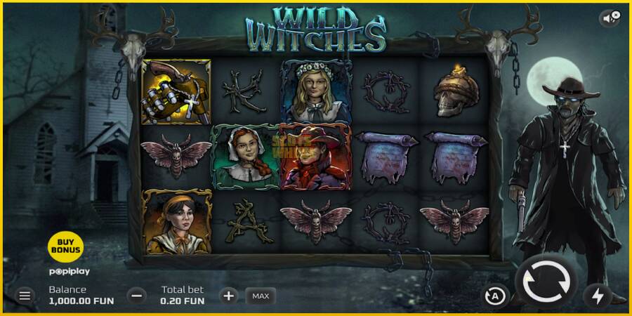 Картинка 2 ігрового апарату Wild Witches